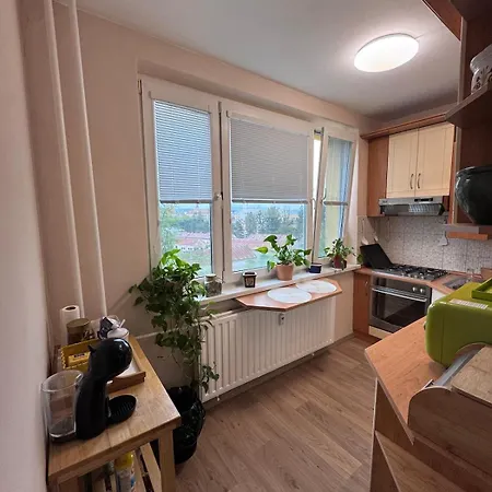 Sunny In Center Apartman *